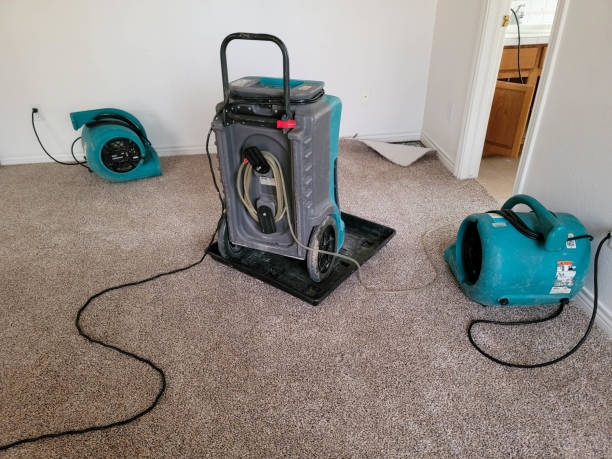 Best Flood restoration services  in Bristow, OK