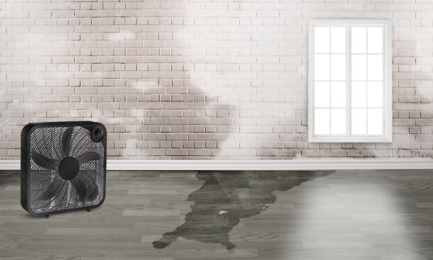 24/7 water damage repair in OK